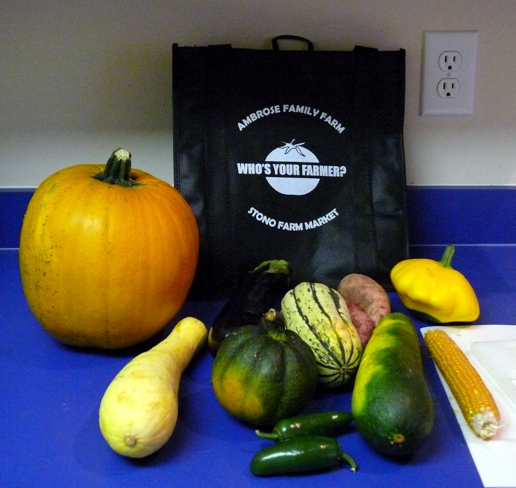 Vegetable haul from the Ambrose Family Farm CSA