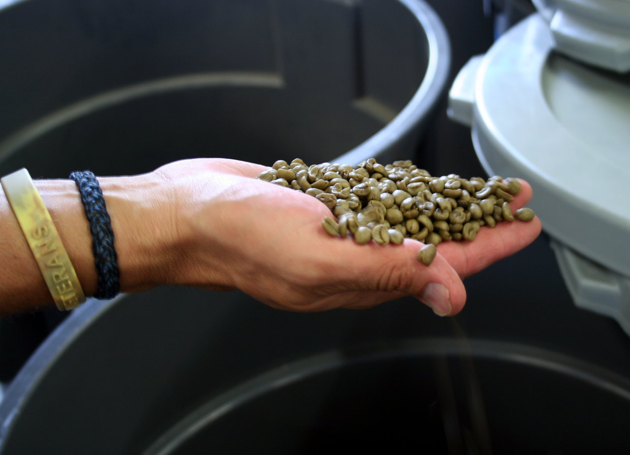 A handful of unroasted coffee beans against a background of large containers