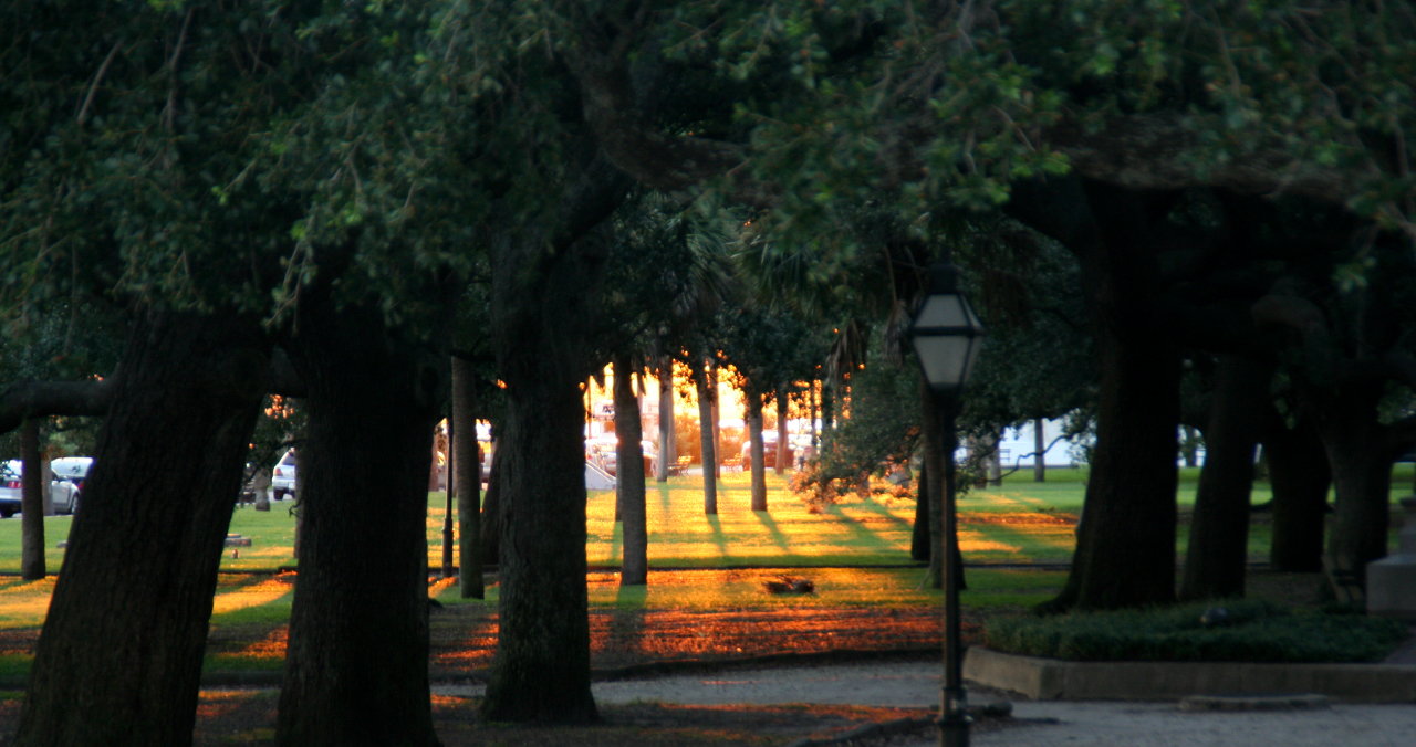 Orange light from the sunset filtered through trees in the foreground.