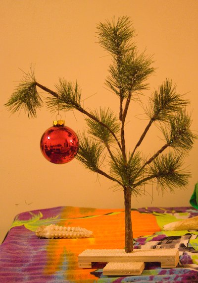 A spindly little Charlie Brown style Christmas tree with a large red ball ornament.