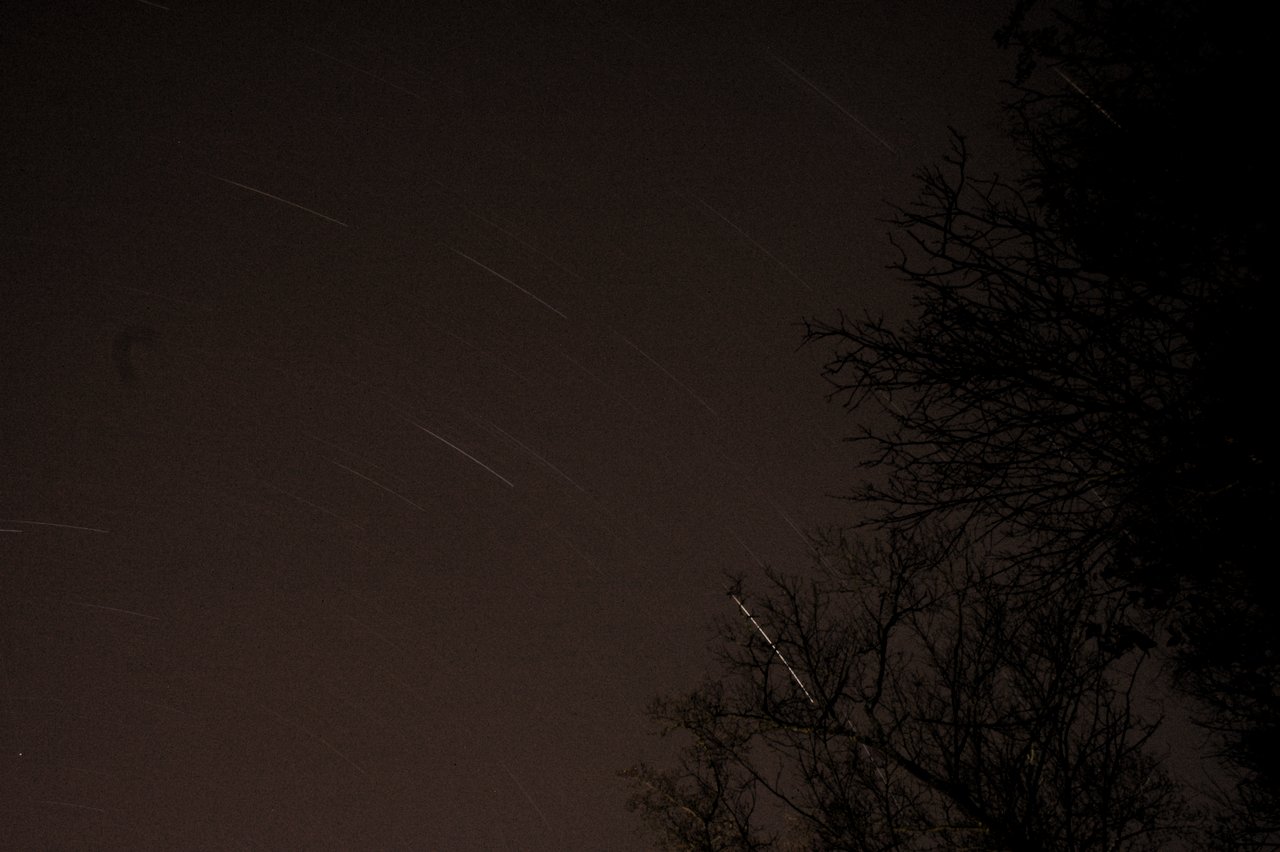 Star trails from a 43 minute exposure with a large tree in the foreground.