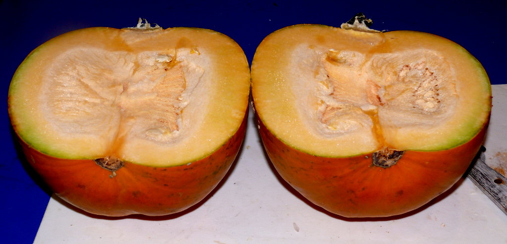 Pumpkin sliced in half with the cut sides up.  Ready for seeds to be removed.