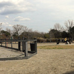 Governors Park dog park panorama
