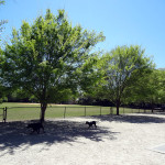 Hazel Parker dog park