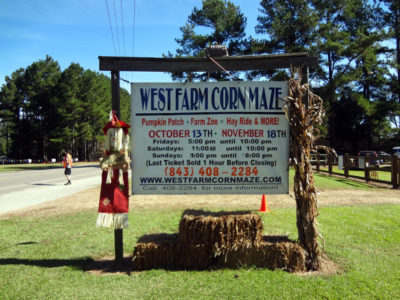 West Farm corn maze