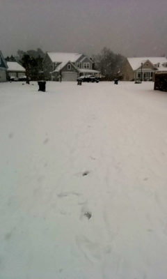 Snow covered neighbourhood