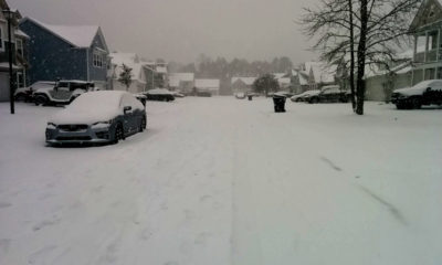 Snow covered neighbourhood
