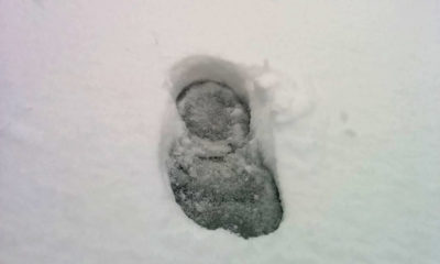 Footprint in the snow