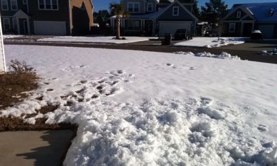 Snowy front yard
