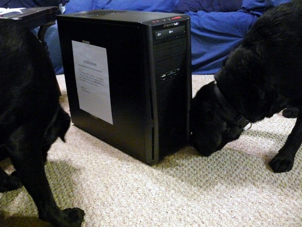 Two black labrador retrievers sniffing at a black computer case sitting on the floor